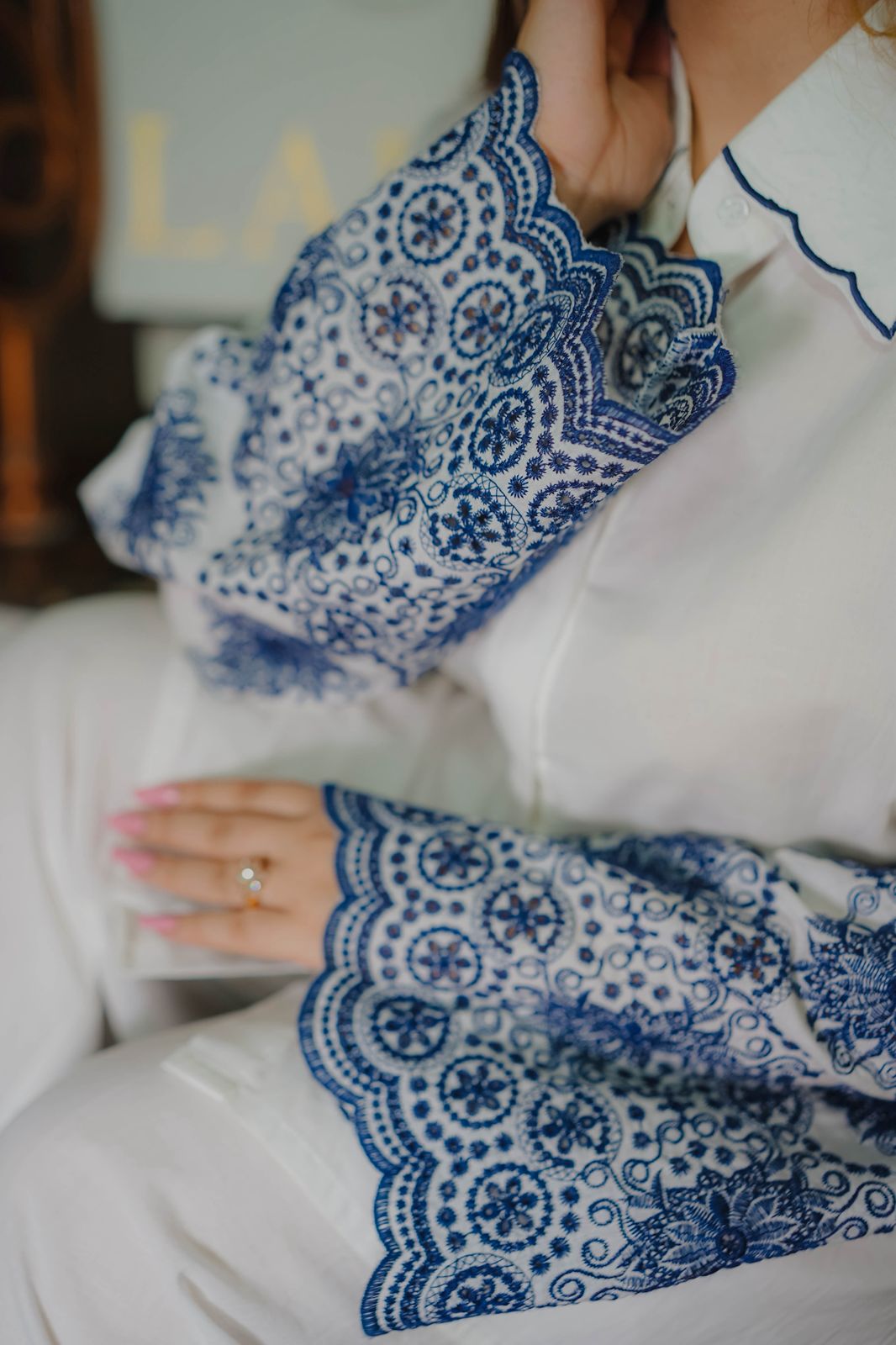 Midnight porcelain ( Detailing chikenkari )